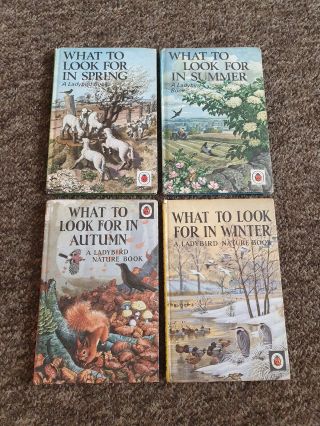 Vintage Ladybird Series 536 What To Look For In.  All 4 Books B2