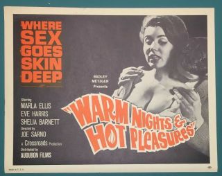 Vintage 1964 Warm Nights And Hot Pleasures Lobby Card Marla Ellis Eve Harris 1