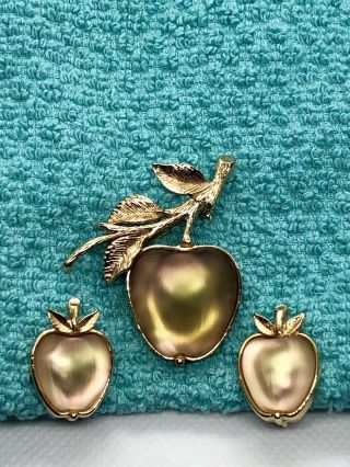 Vintage Signed Sarah Coventry Apple Brooch And Earrings Set Frosted Lucite Stone
