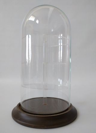 11 1/2 Inch Glass Cloche Wooden Base Vintage Plexiglass Shelves Display Case