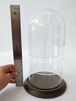 11 1/2 inch Glass Cloche Wooden Base Vintage Plexiglass Shelves Display Case 2