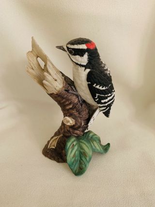 Vintage 1989 Lenox Garden Birds Downy Woodpecker Fine Porcelain Figurine