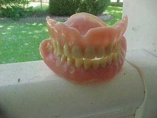 Vintage Prop Halloween/education False Teeth Dentures Full Upper & Lower Real