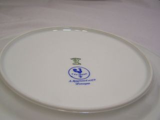 Vtg.  Raynaud Ceralene & Co.  Limoges  Morning Glory  Luncheon Plate 4