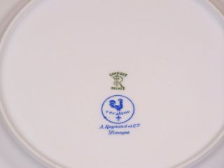 Vtg.  Raynaud Ceralene & Co.  Limoges  Morning Glory  Luncheon Plate 6