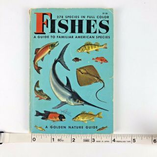 Fishes A Guide To Familiar American Species A Golden Nature Guide Vintage