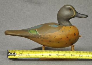 East Coast style Blue - Wing Teal drake duck decoy paint WMW 2