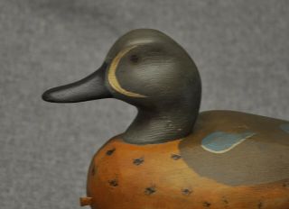 East Coast style Blue - Wing Teal drake duck decoy paint WMW 5