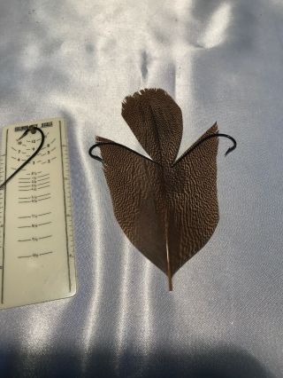 Vintage Kori Bustard Feather Salmon Fly Tying