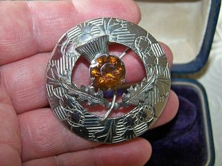 Vintage Signed Jewellery Scottish Celtic Amber 3d Thistle Brooch Shawl Kilt Pin