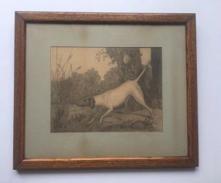 Vtg Unsigned Pencil Drawing Art Sketch Hunting Pointing Dog Wooden Frame Glass