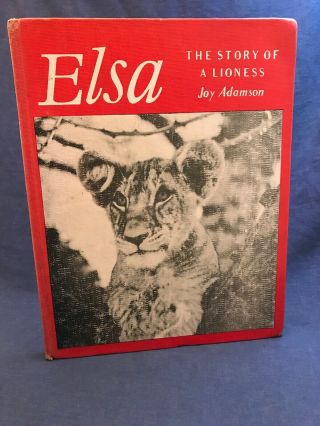 1961 Pantheon Books Elsa The Story Of A Lioness Joy Adamson Lesotho Africa