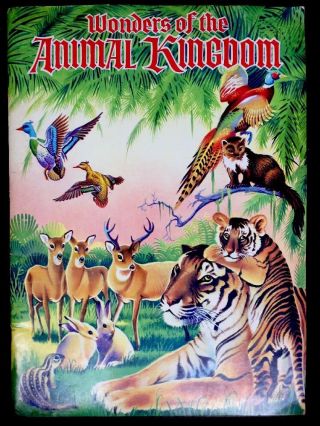 Wonders Of The Animal Kingdom Vintage Children 
