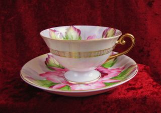 Vintage Ucagco China Floral Teacup And Saucer Made In Japan