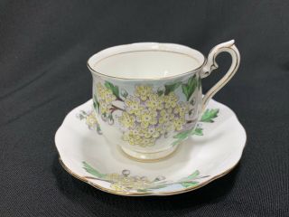 Vintage Royal Albert Flower Of The Month Teacup & Saucer Hawthorne Tea Cup 5