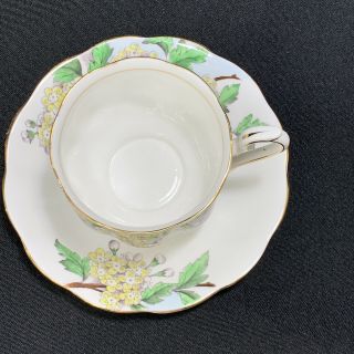 Vintage Royal Albert Flower of the Month Teacup & Saucer Hawthorne Tea Cup 5 3