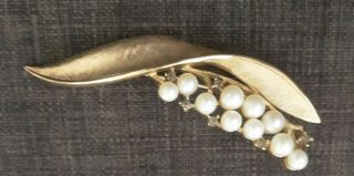 Vintage Crown Trifari Brushed Gold Tone Leaf with Faux Pearls Brooch Pin 3 inc. 5
