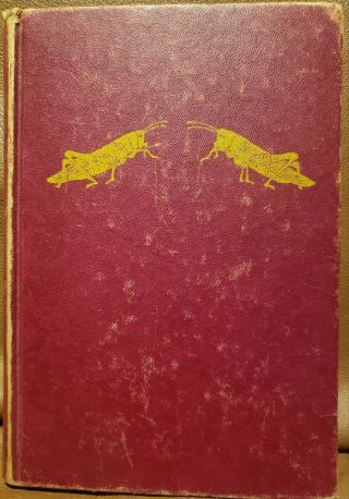 Among The Meadow People 1901 Clara Dillingham Pierson Book Michigan Author