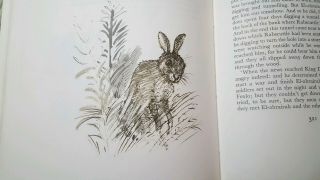 Watership Down: The Illustrated Edition 4