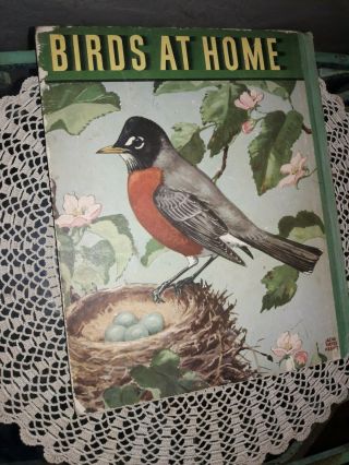 Vintage Birds At Home By Marguerite Henry Illustrated By Jacob Abbott 1942