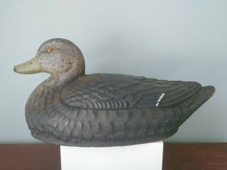 Vintage General Fibre Co.  St.  Louis,  Mo Ariduk Paper Mache Black Duck Decoy 16 "