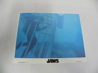 Vintage " Jaws " Movie Lobby Card (a5)