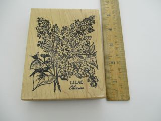 Vintage Psx Rubber Stamp K - 1299 1994 Botanical Lilac Flowers