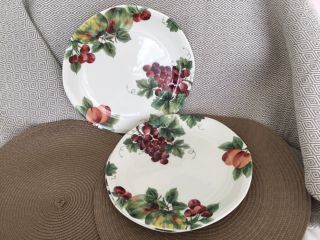 Royal Doulton 1994 “vintage Grape” Dinner Plate (s) 10 5/8 In.  Tc1193 - England