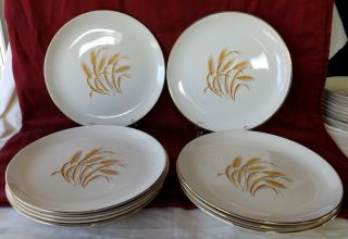 Set Of 9 Origl Vintage Homer Laughlin Golden Wheat 9 1/4 " Dinner Plates Excellen