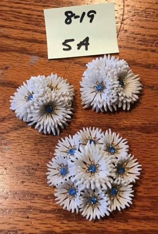 Vintage Lisner White Plastic Floral Pin And Clip Earrings Set W Blue Stones