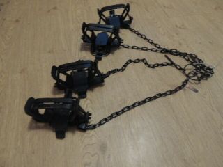 4 2 Northwoods Coil Spring Traps,  Offset,  Dyed,