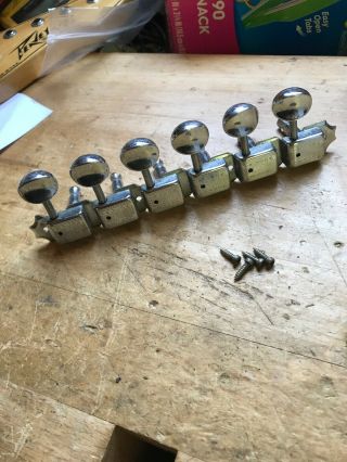 Vintage Peavey Usa T - 15 Electric Guitar Tuners Tuning Pegs