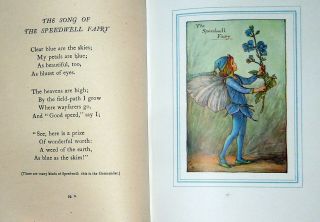 The Book Of The Flower Fairies By Cicely Mary Barker - Spring,  Summer & Autumn