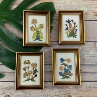 Vintage Framed Pressed Wildflowers Set Of 4 Square Weinstocks Austria Dried