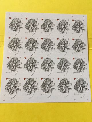 Us 4959 Cf1 Counterfeit Vintage Rose Stamp Sheet Of 20.