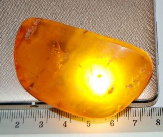 Natural Baltic Amber.  Vintage Brooch.  Egg Yolk/butterscotch Color.  14,  3 G (d32)