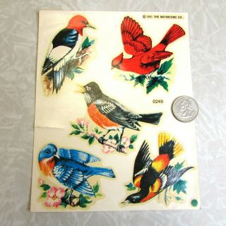 Vintage Water Transfers Decals BIRDS Meyercord 0249 Cardinal Bluebird Woodpecker 2