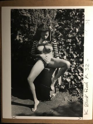 1960’s Vintage Nude/pinup Girl Photo 8x10
