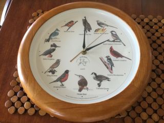 Authentic Vintage National Audubon Society 13” Singing Bird Quartz Wall Clock
