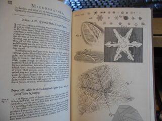 Robert Hooke,  Micrographia: Physiological Descriptions of Minute Bodies Made by 8