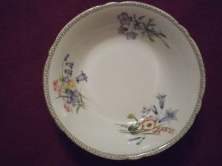 Vintage Shelley 6 1/2 " Cereal/soup Bowl " Wild Flowers " 13686 Bone China England