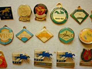 THIRTY FOUR (34) VINTAGE WORLD RACECOURSES HORSE RACING BADGES 3