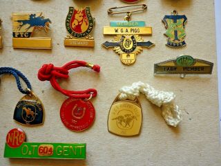THIRTY FOUR (34) VINTAGE WORLD RACECOURSES HORSE RACING BADGES 7