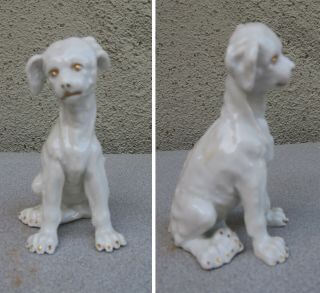 Small Royal Vienna Germany White Dog Figurine Porcelain Vintage