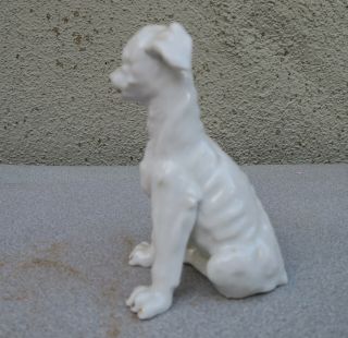small Royal Vienna Germany white Dog Figurine Porcelain vintage 2