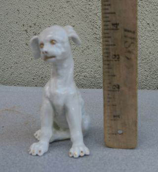 small Royal Vienna Germany white Dog Figurine Porcelain vintage 4