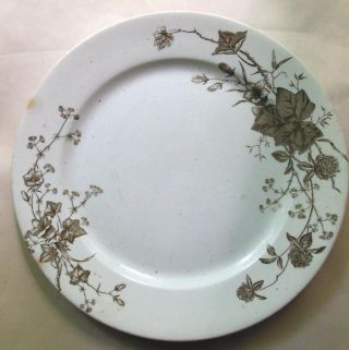 Vintage J & G Meakin Ivy Dinner Plate 9.  75 " Flawed Hanley England