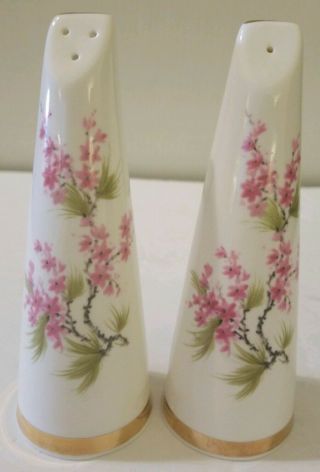 Vintage 1960s Sandford Fine Bone China Pink Floral Salt & Pepper Shakers England