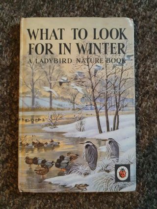 Vintage Ladybird Series 536 What To Look For In Winter 2 