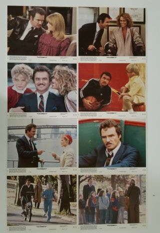 Vintage 1981 Paternity Color Movie Still Photos 8x10 Set Of 8 Burt Reynolds